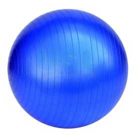Anti Burst Gym Ball 33"