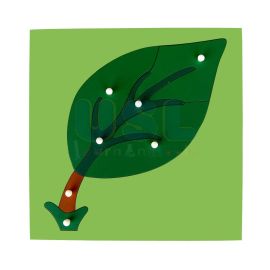 Botany Puzzle - Leaf