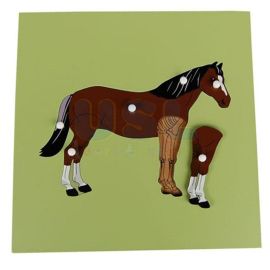 Animal Puzzle - Horse and Skeleton