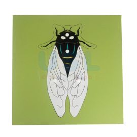 Insect Puzzle - Bug