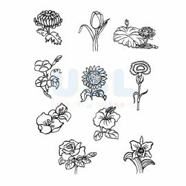 Flowering Plants