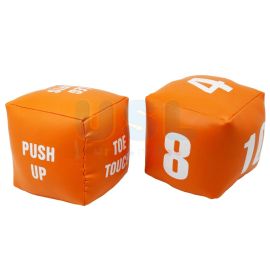 5" Activity Dices (2/set)